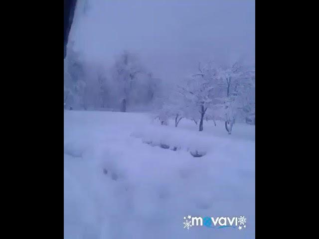 КАРА - АЛМА  ИСАКОВТАР (2019-жыл)