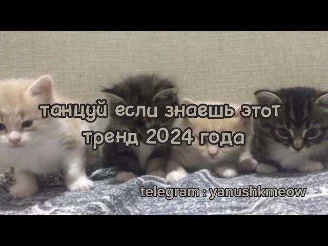  Танцуй если знаешь этот тренд 2024 года  Лучшее тренды Тик Ток 2024 