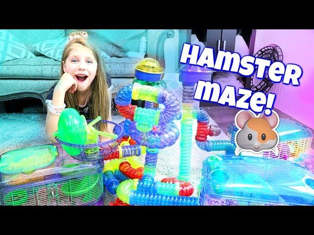 AMAZING HAMSTER MAZE! Setting up Hamster Cages and Tubes from CritterTrail Shopping at PetSmart