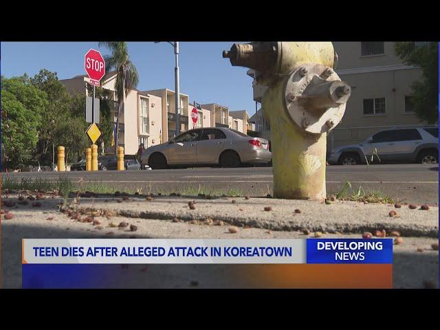 19-year-old dies after being attacked in L.A.'s Koreatown neighborhood