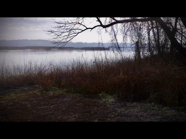 Exploring Maryland’s Upper Patuxent River from Selby’s Landing, 14 Jan 2021
