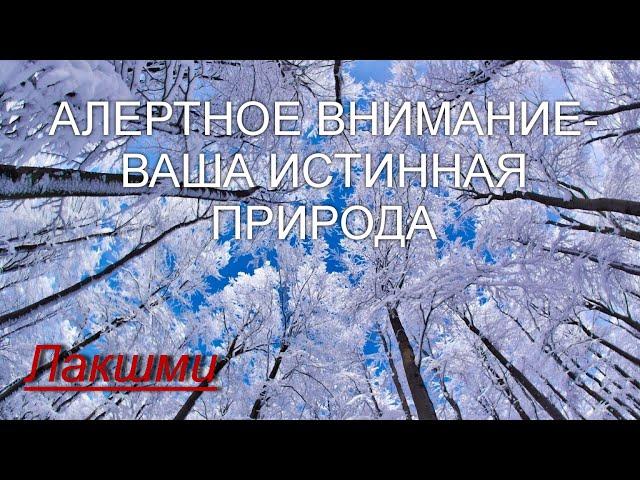 Алертное внимание - ваша истинная природа [Лакшми, озв.Никошо]