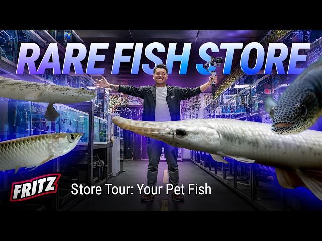 This Texas Fish Store is AMAZING. But What Do They Feed Their Rare Fish?