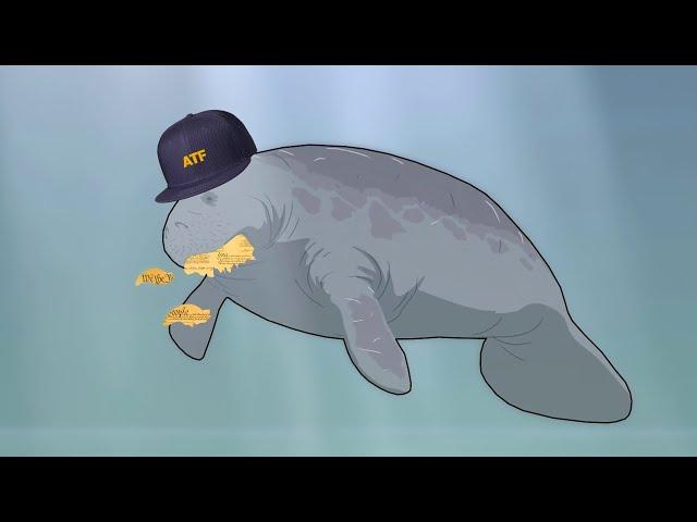 How the ATF Makes New Laws