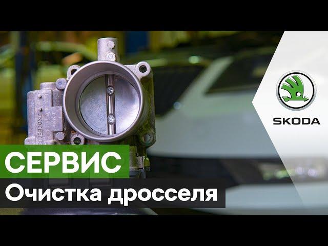 Ремонт VAG (Шкода, Фольксваген, Ауди). Чистка дроссельной заслонки