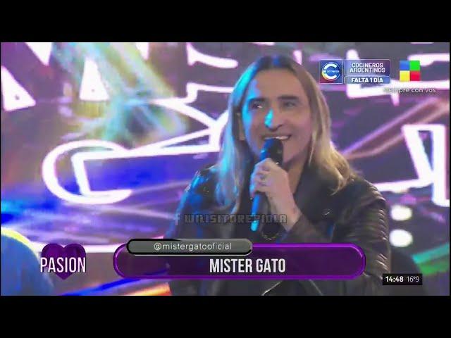 Mr Gato - Recital en vivo Especial  Pasion de Domingo (03-08-2024)