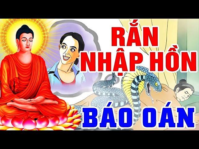 Nhân Quả Báo Ứng, RẮN NHẬP HỒN BÁO OÁN Kẻ G.I.Ế.T Hại Mình - Chuyện TÁI SINH Và NGHIỆP BÁO Có Thật..