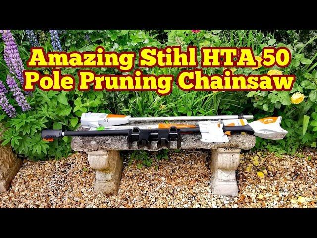 Amazing Stihl HTA 50 Pole Chainsaw For Pruning Out Of Reach Tree Branches, Cottage Garden Life