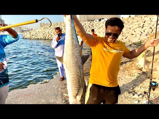 Giant Kingfish from the Shore - Fishing UAE