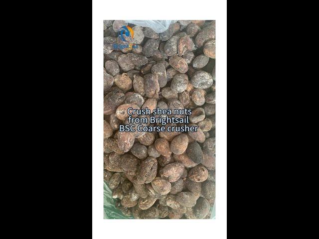 crush shea nuts from brightsail BSC coarse crusher