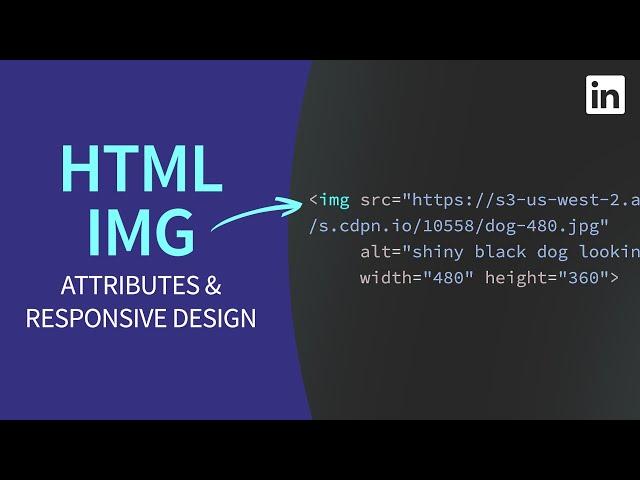 HTML Tutorial - IMG tag attributes and responsive resolution