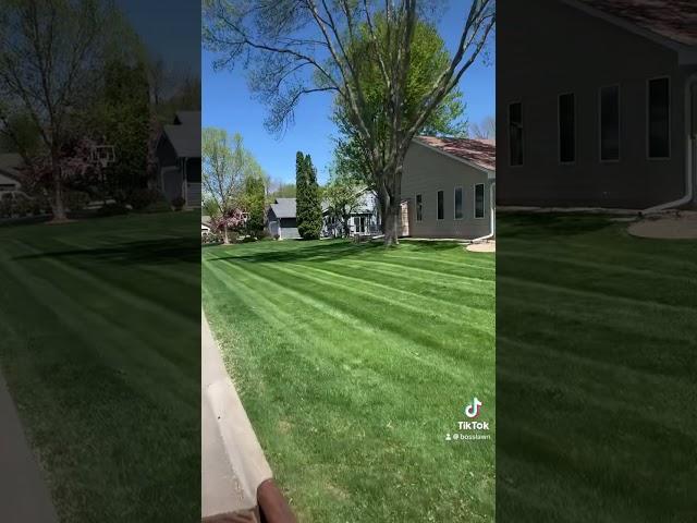 who doesn’t love a fresh cut #lawncare #exmark #lawnstripes #bosslawn