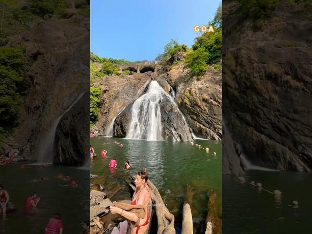 GOA Diaries || Dudh Sagar Water Falls || #goadiaries #dudhsagarwaterfall #goabeach #dudhsagarfalls