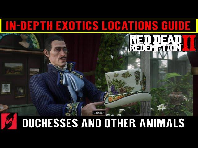 Red Dead Redemption 2 All Exotics Locations Guide - Duchesses and other Animals