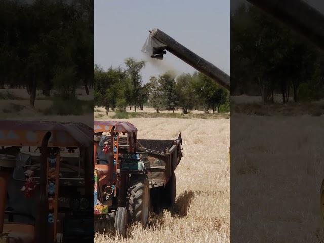 ya keya ha #oldnokia #okhtein #okin #omok #foryou #beatmusic #shortfeed #trending#shorts
