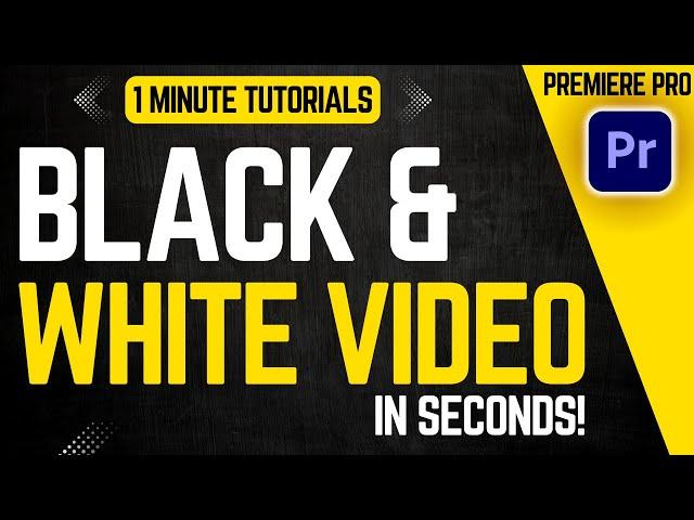 Black & White Videos in Adobe Premiere Pro (Quick 2025 Guide!)