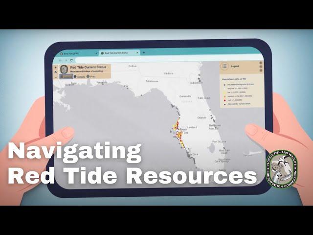 Navigating Red Tide Resources