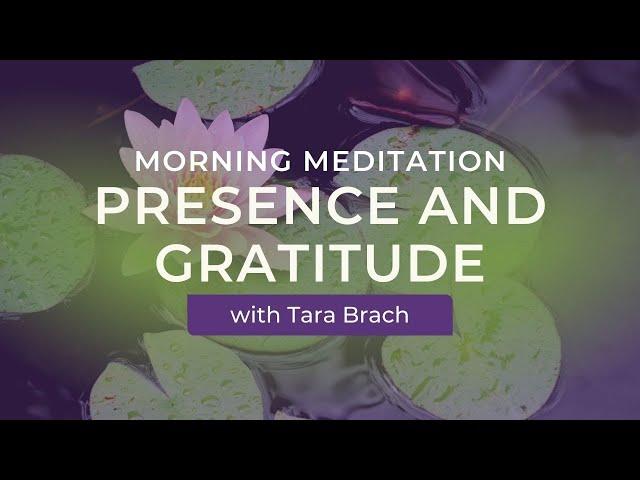 Morning Meditation: Presence and Gratitude with Tara Brach