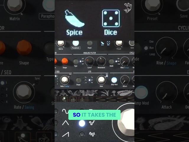 MicroFreak Spice & Dice: Generate Unique Music Ideas Instantly!