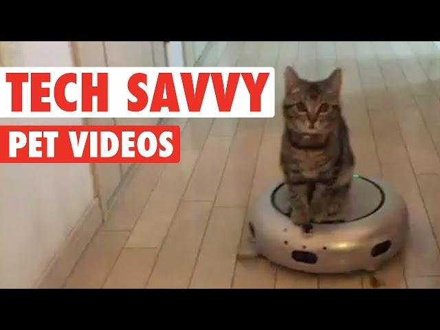 Tech-savvy Pets || Funny Pet Compilation