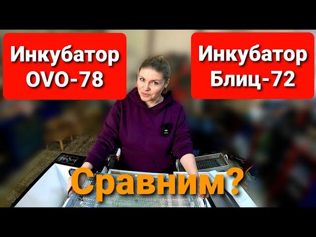 Какой ИНКУБАТОР выбрать OVO или БЛИЦ? Обзор инкубатора OVO-78.