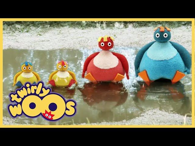 üzerinde | Twirlywoos | Türk Çocuk Çizgi Filmleri | WildBrain Türkçe