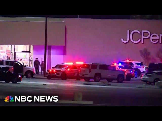 Man shot, killed by police after driving into Texas mall during high-speed chase