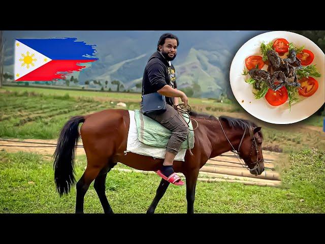 Arab visits family land in the Philippines and BBQ Frog   Cafe sa Bukid, Amaya Views Travel Vlog