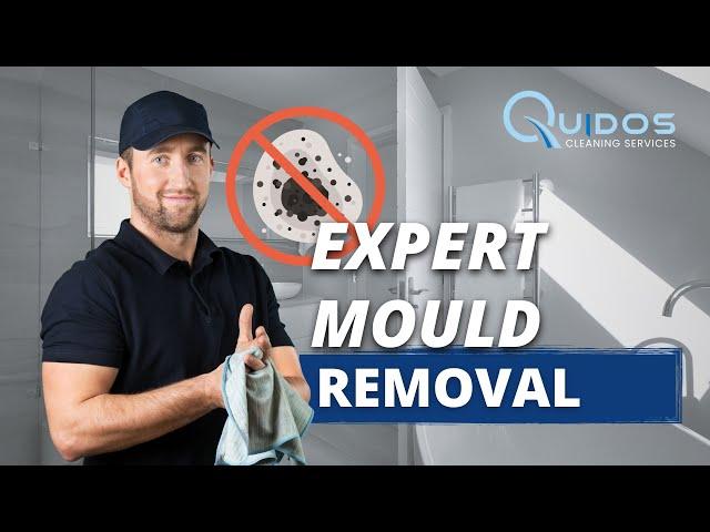 Hidden Dangers in Your Home: Expert Mould Removal by Quidos Cleaning Services