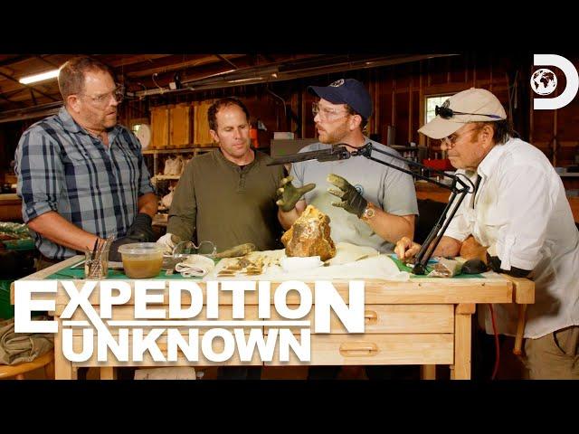 Josh Gates Explores Rare Pirate Treasure | Expedition Unknown | Discovery