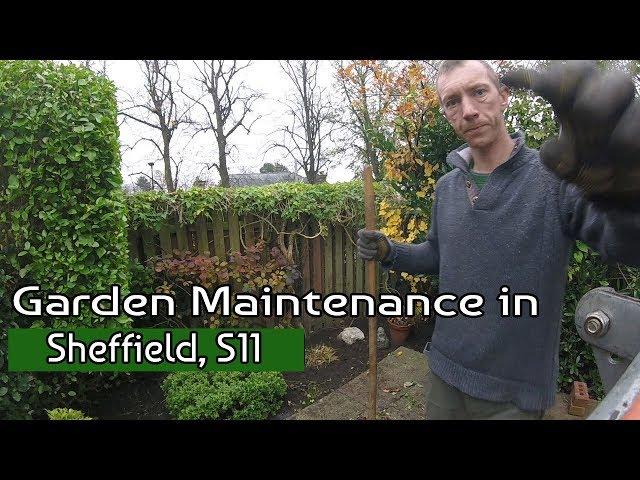 Garden Maintenance Sheffield S11