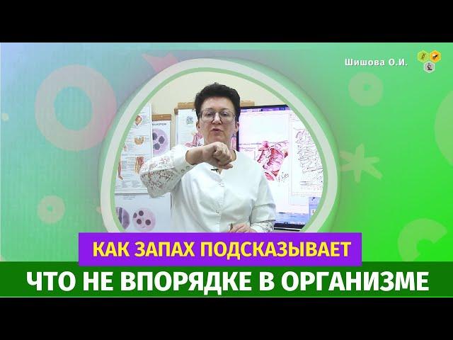 О чем расскажет пот, как запах подсказывает, что не в порядке в организме?