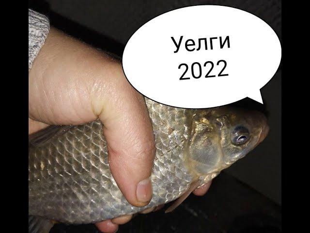 Уелги 2022. В поисках карася.  #рыбалка #уелги