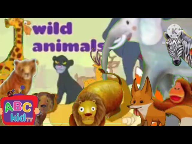 Abc Kid Tv Cocomelon Wild Animals