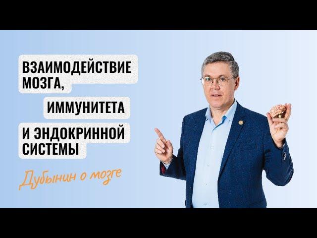 Дубынин о мозге: взаимодействие мозга, иммунитета и эндокринной сферы