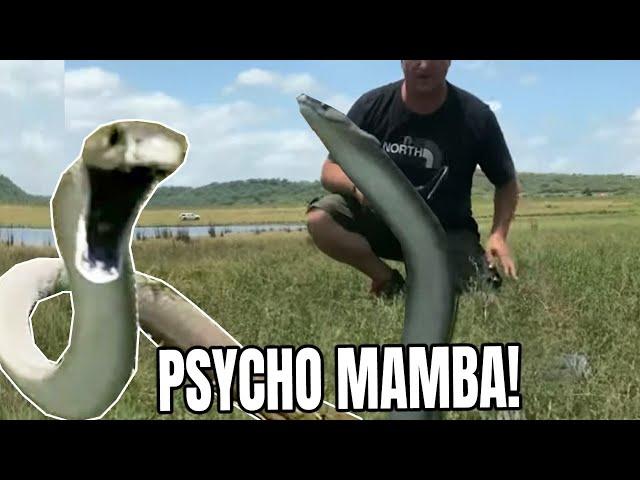 MASSIVE BLACK MAMBA GOES INTO FULL BLOWN ATTACK MODE!!!