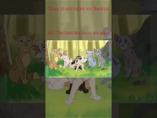 Look What we became..#edit #warriorcats #foryou #brightheart #swiftpaw #myidea