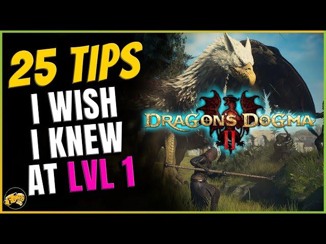 Dragons Dogma 2 - Beginners Guide - SPOILER FREE - Fast Travel - Combat - Inventory and more