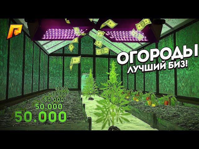 ОГОРОД - ЛУЧШИЙ БИЗНЕС на РАДМИР КРМП? RADMIR CRMP!