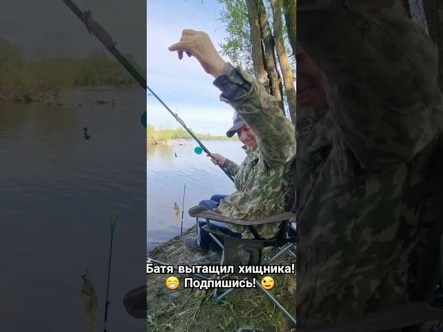 Крупняк на Усе! #рыбалка #поплавок #ёрш