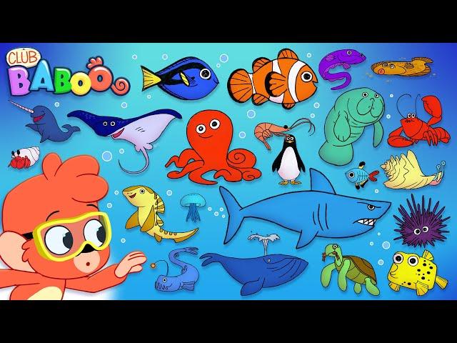 Animal ABC | learn the alphabet with 26 cartoon Ocean Animals | ABCD sea animals kids education