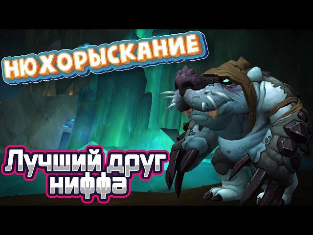 НЮХОРЫСКАНИЕ - Подробный гайд на достижение ЛУЧШИЙ ДРУГ НИФФА в World of Warcraft: Dragonflight #wow