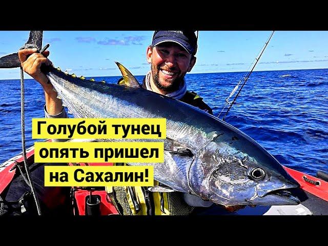 Bluefin Tuna! Big Game at Sakhalin Island!