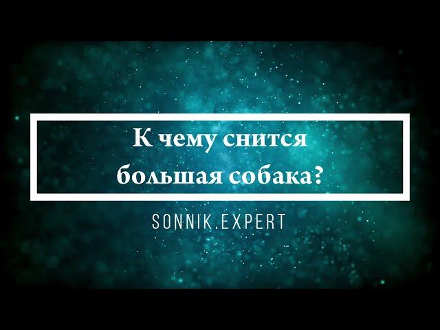 К чему снится большая собака - Онлайн Сонник Эксперт