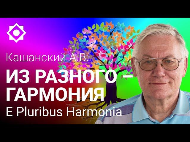 Кашанский А.В.  Из разного – гармония. Как соединить разных людей в гармоничное сообщество