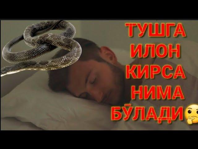 ТУШГА ИЛОН КИРСА НИМА БӮЛАДИ #valijontv#layk туш табири