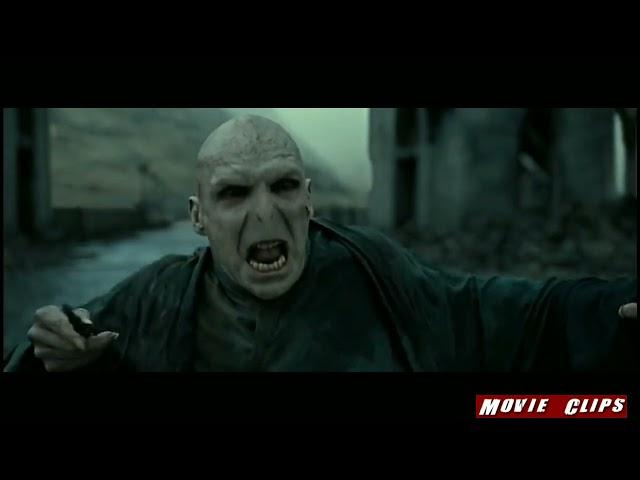 Harry Potter defeated Voldemort in the Battle of Hogwarts ️