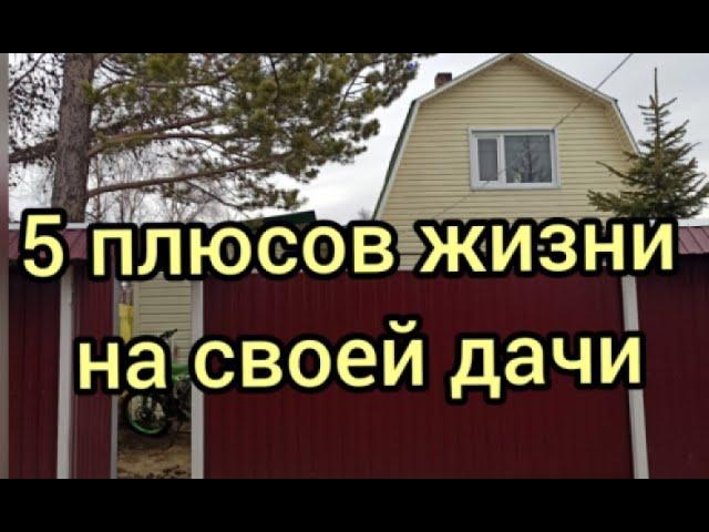 5 плюсов жизни на своей даче