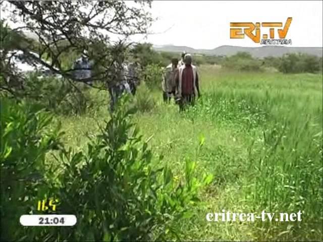 Eritrea Administrator conducts tour of inspection as regards select seed plantations in Dubarwa sub