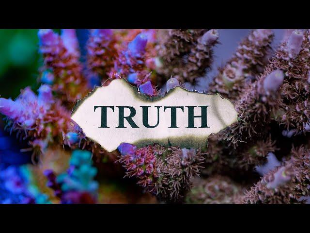 Truth about high-end Acropora & beginner buying advice